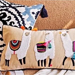 Nice throw pillow’scover 2 for $25